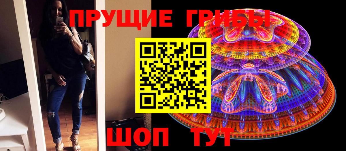 Псилоцибиновые грибы Psilocybine cubensis  Вход с VPN  Солнечногорск 